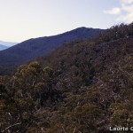 towards Millers Bluff from below Henrys Bluff 92 LGo.jpg